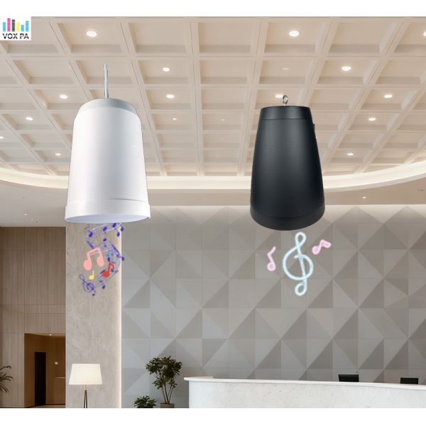 10w/5w 5-inch Hanging Speaker IP55 Waterproof Full Range Speaker with 2-meter Mounting Line