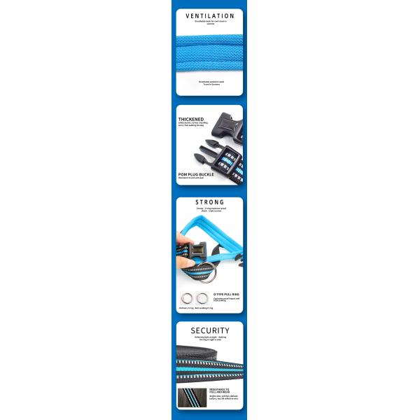 XXS-XXL Reflective Leash And Collar Nylon Four Legged Hi Vis Dog Leads