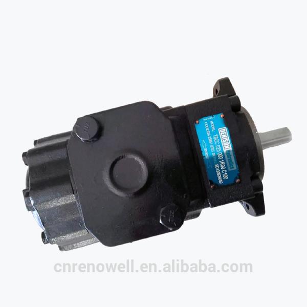 Triple Cartridges Black Hydraulic Cylinder Pump For Plastic Machinery