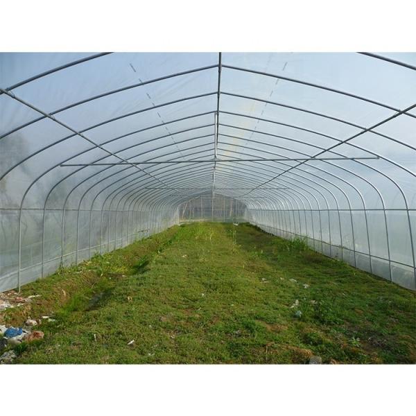 Single Layer Plastic Film Greenhouse Versatile For Agricultural Applications