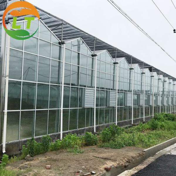 Большая стеклянная теплица с горячим оцинкованным скелетом и системой управления