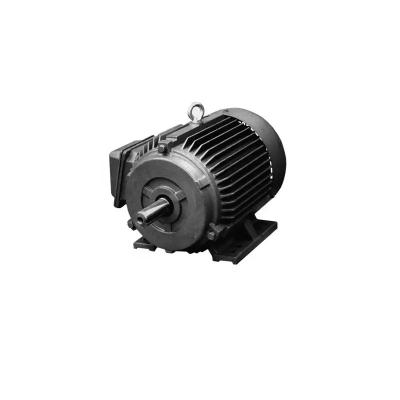 Estrutura de elevação de guindaste motor elétrico de ferro fundido 100 KW