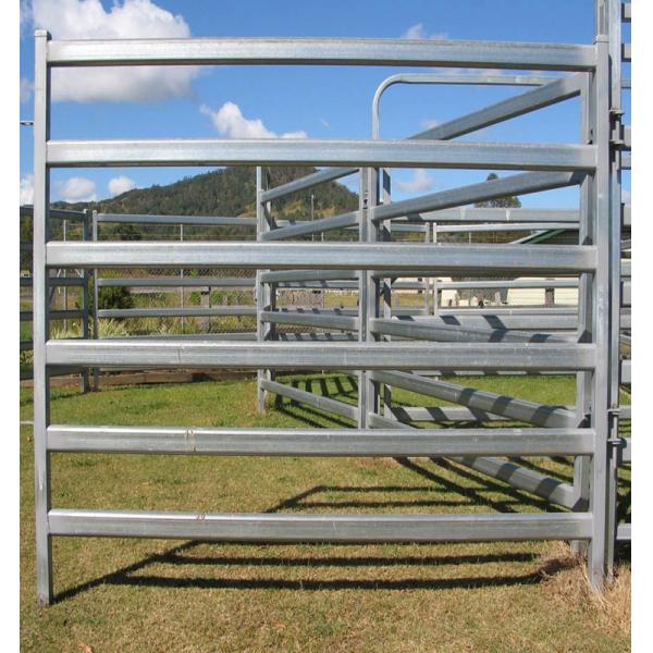 Livestock panels / Cattle panels 1.6m x 2.1m hot dipped galvanized aus standard