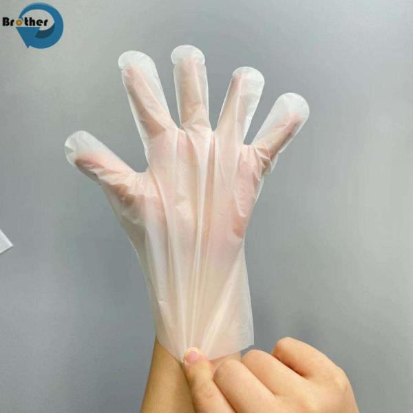 100% Biodegradable Transparent Disposable Waterproof Household Compostable Gloves Food Grade for Food Safety