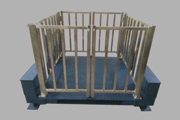 Carbon Steel / Stainless Steel Custom Weighing Scale,Livestock Weighing Equipment