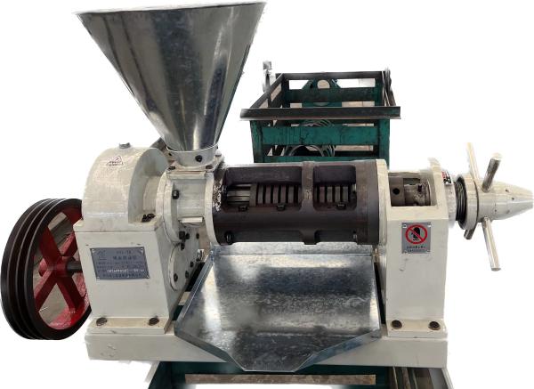 100kg/H Screw Oil Press Oil Presser Coconut Oil Making Black Soldier Fly Oil extraction