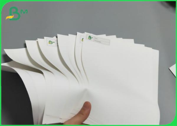 Pedra impermeável Rich Mineral Material de papel 120g de Tearproof - 600g