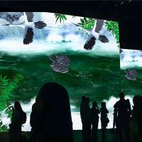 Lumières du Nord La publicité la plus récente Interactive Wall 3D Hologram Projection
