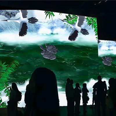 Lumières du Nord Interactive Wall Kids Exploration spatiale Projection interactive