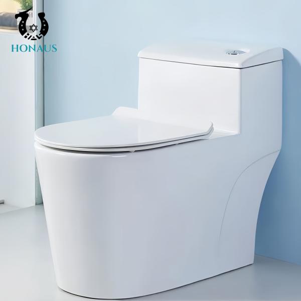 Dual-Flush Single Piece Commode with S/P Trap Drainage Pattern