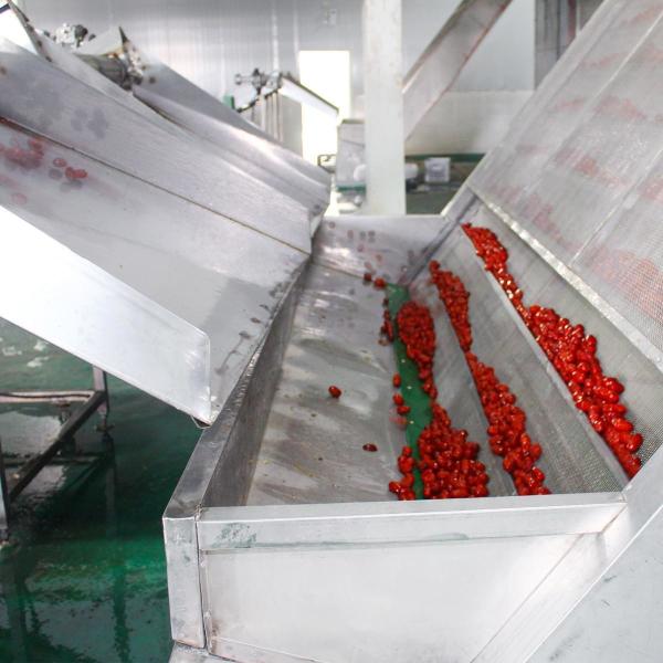 ISO SGS Mesh Belt Dryer Machine PLC Control For Irregular Lumps Red Dates