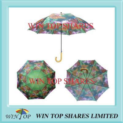 Arc 54, Radius 27 auto straight butterfly Umbrella