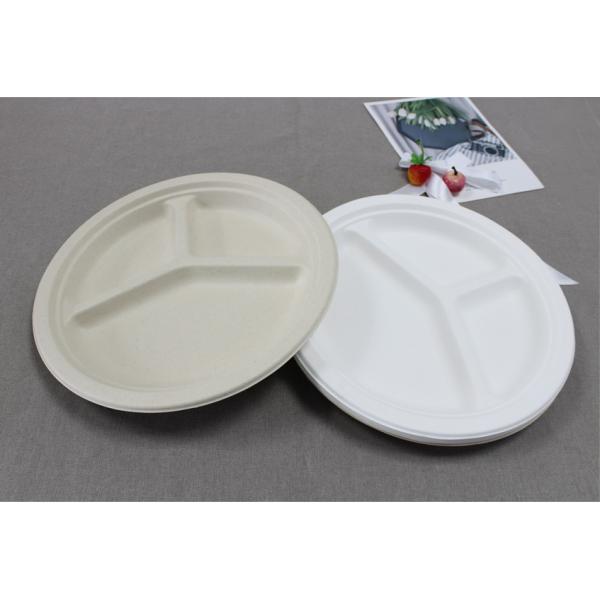 Biodegradable Sugarcane 10 Inch 3-Compartments Plate-HeavyDuty Plate, Natural Disposable Bagasse Plate for Party,Picnic