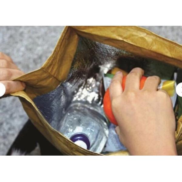 Recycled Reusable Brown Paper Tyvek Insulated Lunch Bag Washable Lightweight