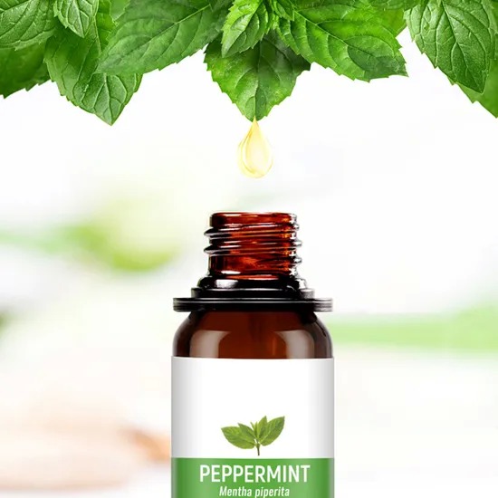 500ml Made in China Fragrance Oil for Detergent Raw Materials with Peculiar Smell Decomposition