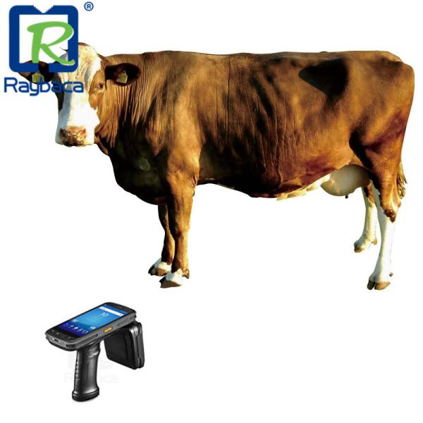 Handheld спичка читателя UHF Rfid ABS с системой управления