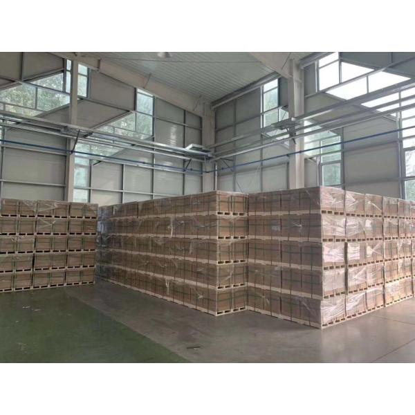 Standard Hydraulic Fan Motor for CAT 345D 349D Crawler Excavator