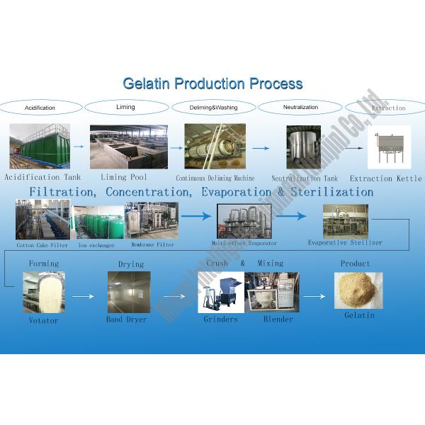 Специализированная стальная машина для резки кожи свиньи из коровьей шкуры, овец и свиней для производства желатина