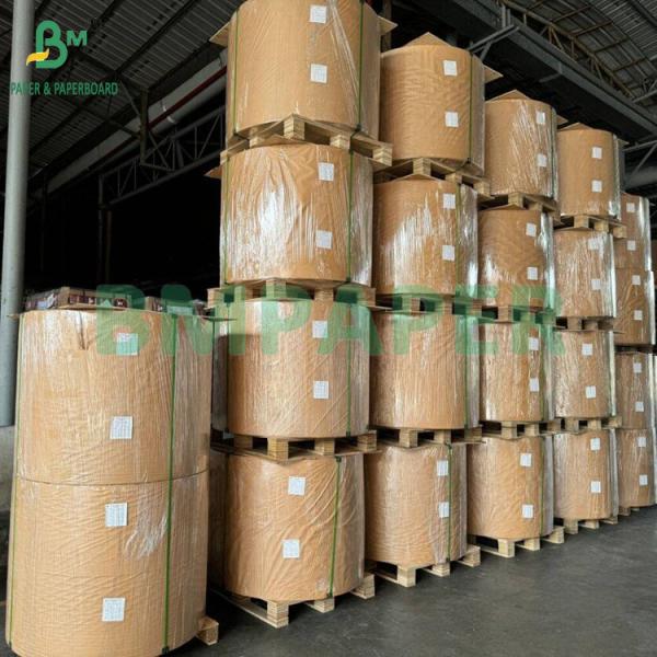 50 gm 328 mm Papier filtrant pour café de qualité alimentaire, blanchi et non blanchi