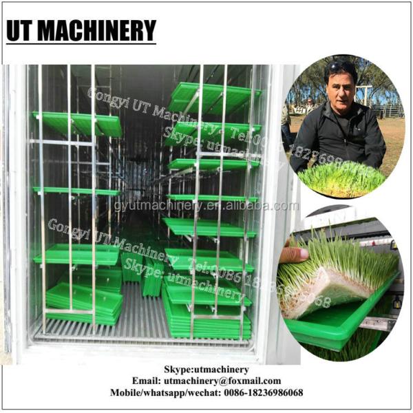 Машина для выращивания кормов для фермы с гидропонными семенами