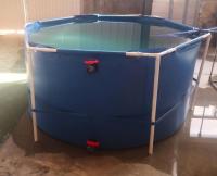 5000 L Tanque de peixe de lonas redondas dobrável Protecção do ambiente Piscina de peixe de PVC