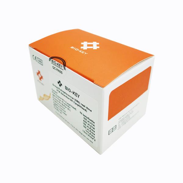 Lyophilized 96 Tests/Kit Real Time STD STI Test Kit for Group B Streptococcus