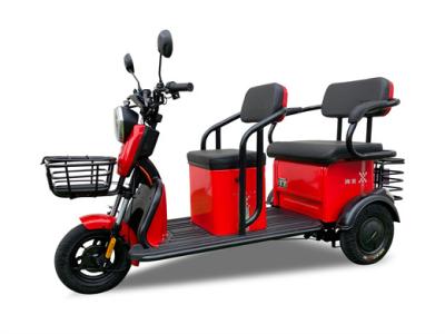 bicicleta elétrica aberta de três rodas do triciclo elétrico do lazer 800w