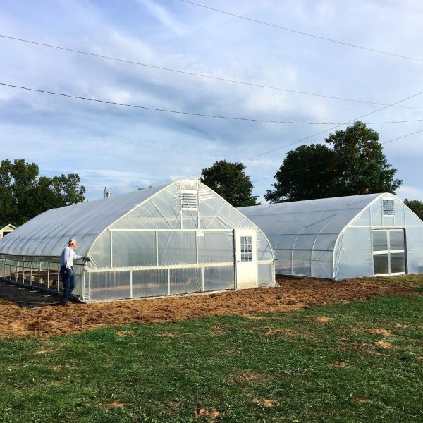 Agricultural Single Span Tunnel Green House Sprinkler Irrigation Lettuce Greenhouse For Farm