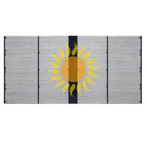 P15.6 Full Color Indoor Transparent LED Display Fixed Or Rental Dual Use For Museum