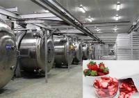 Appareil de séchage par congélation industriel à vide pour aliments de 100 kg