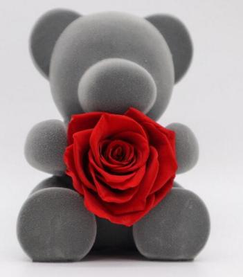A decoração home preservou a caixa de presente de Rosa com o urso para o aniversário/partidos