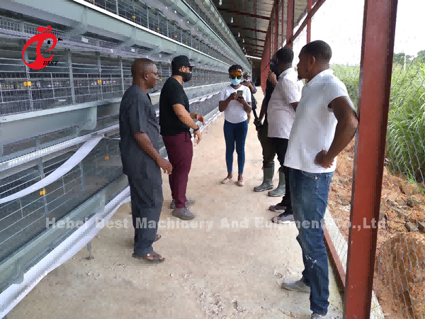 Система клетки батареи ячеистой сети автоматическая в птицеферме Mia Нигерии