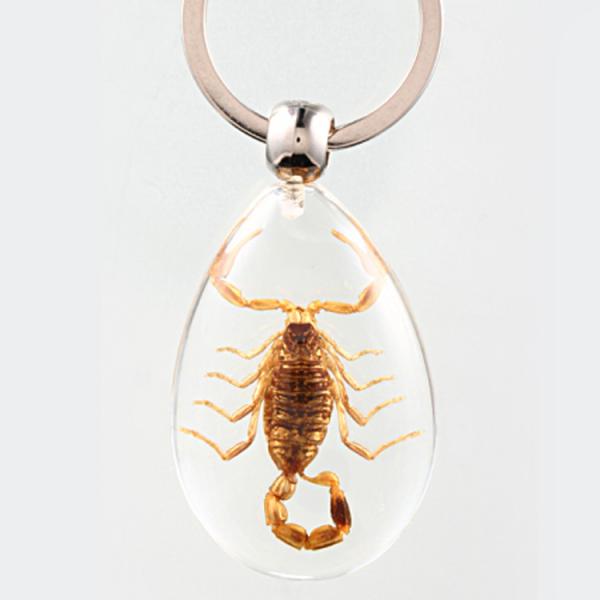 20pcs Resin Insect Specimen Keychain As Beautiful Fashion Key Chain