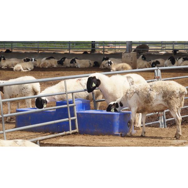 Heavy Duty Blue Cattle Water Trough - 60L Capacity 300mm Drinking Height