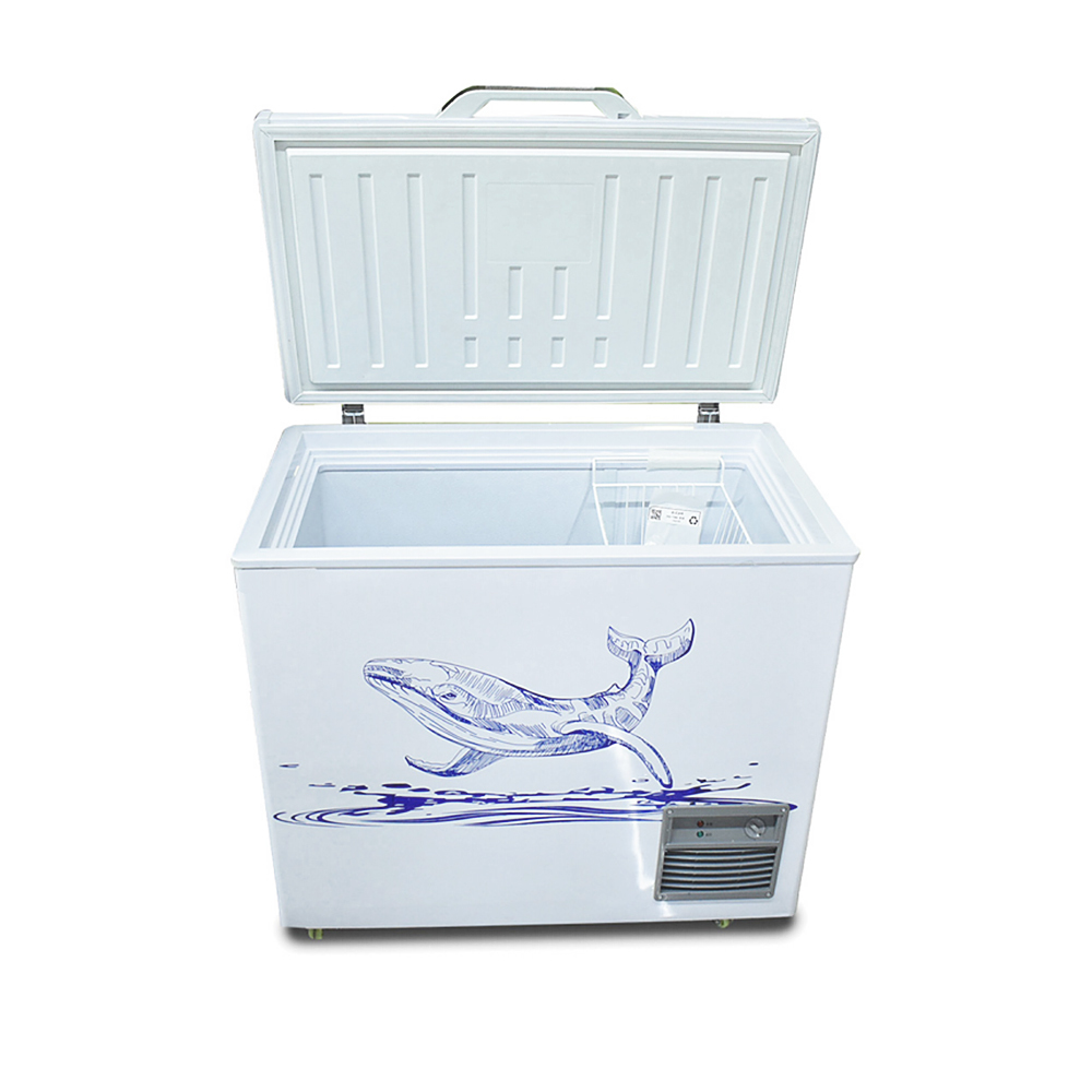 Commercial Freezer with Large Capacity Direct Cooling and R290a Refrigerant for Efficient Refrigeration