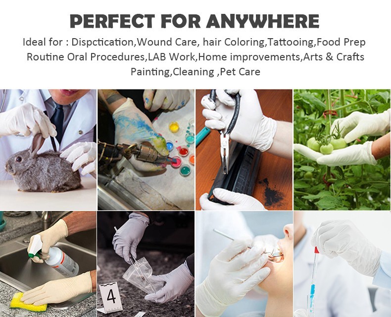 AQL 1.5 Single Use Examination Gloves Size S / M / L / XL Powdered Medical Gloves For Healthcare Industry