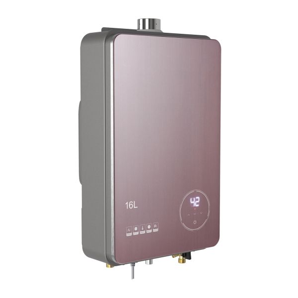 12L / 3.17gal Household Indoor Gas Water Heater For Consistent Water Heating Durable Construction
