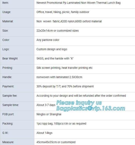 thermal insulation food distributed delivery Bag by scooter or motorcycle,office cooler lunch bags with bottle holder