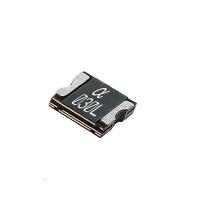 2920-030 0.3A Mar Tierra Taiwán PPTC versátil SMD Dispositivos de montaje en superficie