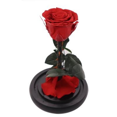 Decoração delicada da abóbada de vidro vermelha de Rose In A para a casa/interno preservados