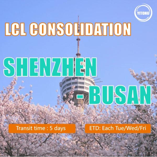 LCL Logistics From Shenzhen To Busan Korea