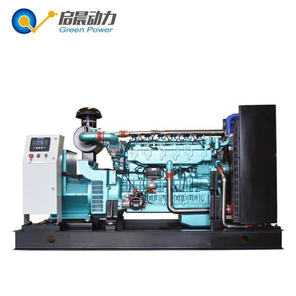 60kw Biogas Generator Set in South America