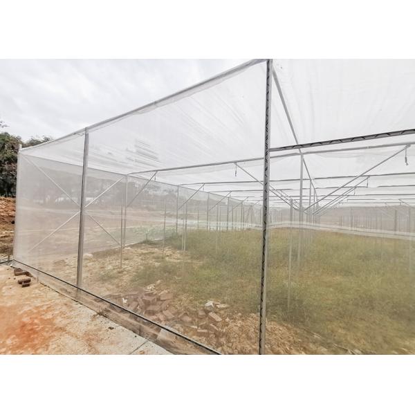 Sin soldadura Insecto Proof Invernadero de trabajo pesado Invernadero de marco metálico