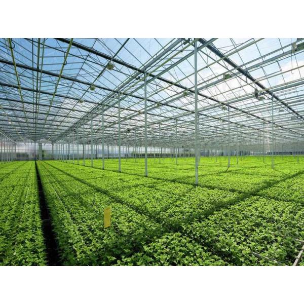 High Transmittance Greenhouse Glass Panels 300*300mm Greenhouse Toughened Glass