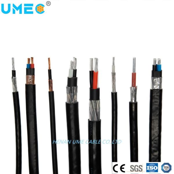 Low Voltage XLPE Insulated Concentric Cable with Stranded Copper/Aluminum Conductor