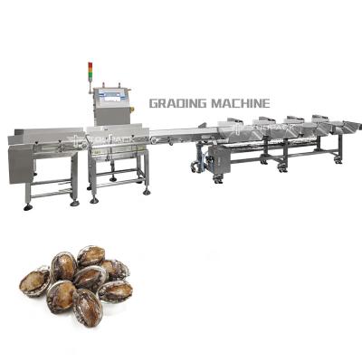 Classificador automático do peso dos vegetais de frutos do camarão da galinha da correia transportadora de máquina de classificação do peso da indústria