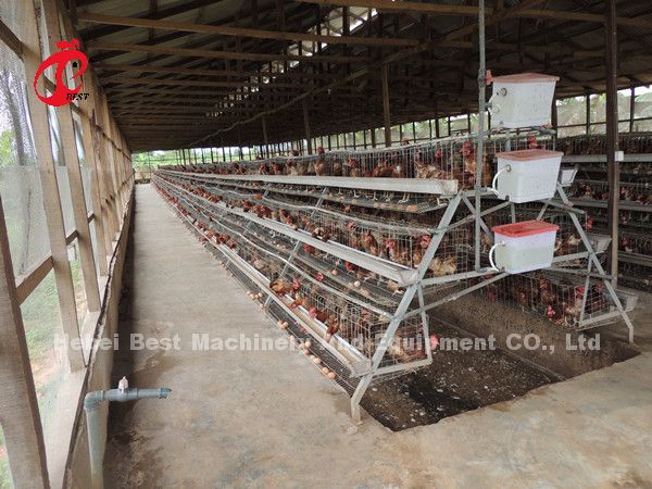 Тип 3 ярусы наслаивает звезду птиц 450cm2 клеток батареи 120 цыпленка