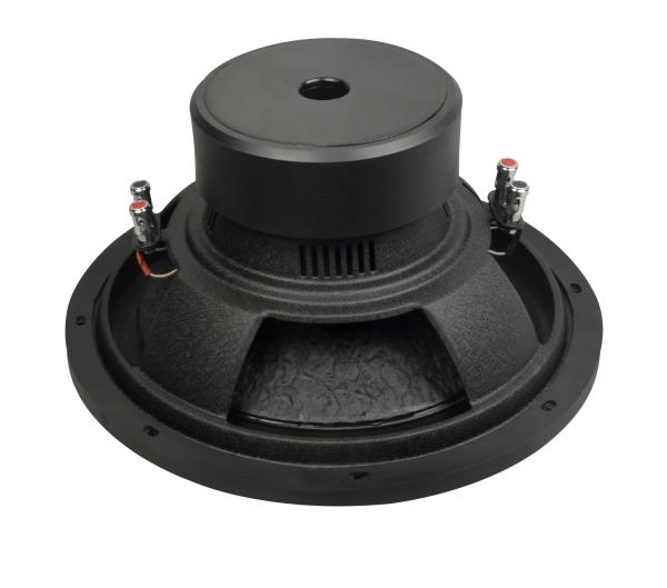12 steel frame 2 voice coil dual magnet car audio subwoofer