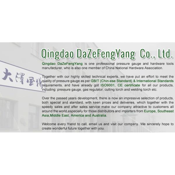 Все индикаторы давления из нержавеющей стали с фланцем одобрены CE