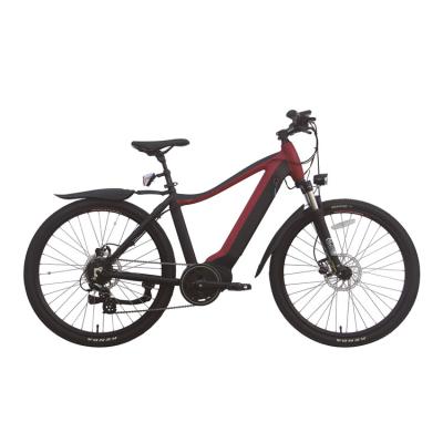 350w Portable Folding Electric Bike Hub Motor E Bike With Removable Battery 36V 10Ah